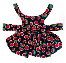 Watermelon Love Pet Outfit