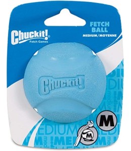 PETMATE CHUCKIT! FETCH BALL 1-PACK MEDIUM (Color May Vary)