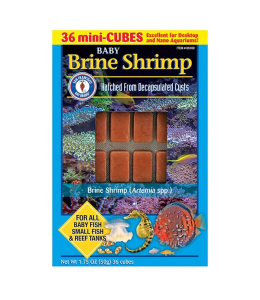 San Fransisco Bay Brand Brine Shrimp Frozen Cube 50g Frozen Fish Food