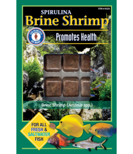 San Fransisco Bay Brand Brine Shrimp Spirulina  Frozen 30 Cube 200g