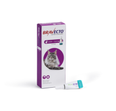 Bravecto Spot On for Cat 500mg 6.25 -12.5kg 1x 1.79ml Large Cats