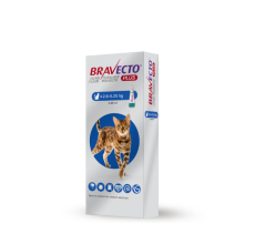 Bravecto Plus 250 mg / 12.5 mg for Medium-Sized Cats