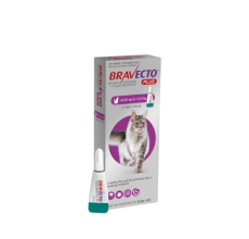 Bravecto Plus 500 mg / 25 mg for Large Cats