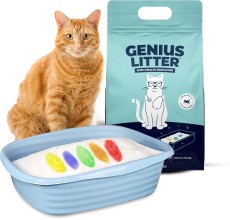 Alpha Paw Genius Litter With Health Indicator 2.7KG-4L