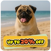 Up to 20% Off⚡