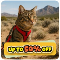 Up to 50% Off💵