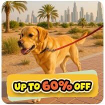 Up to 60% Off🎉