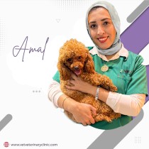 Dr. Amal| Doctor Veterinary Medicine | 15+ Years