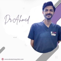 Dr. Ahmed |General Medicine | 10+ Years