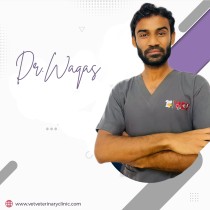 Dr. Waqas| General Medicine | 10+ Years
