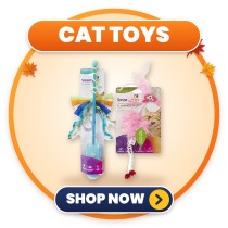 Cat Toys | Play Time