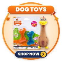 Dog Toys | Chew Time