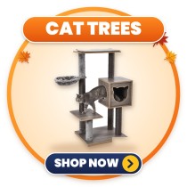 Cat Trees | Scratch & Climb
