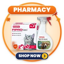 Pharmacy | Health & Care