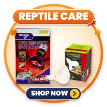 Reptile Care | Heat & Light