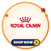 Royal Canin