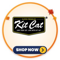 Kit Cat
