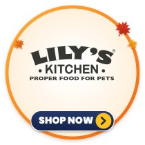 Lily's Kitchen