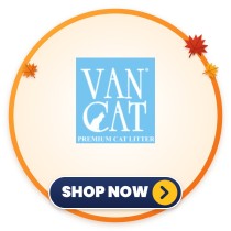 Van Cat