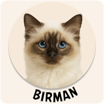 Birman