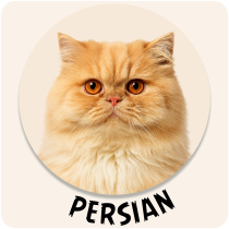 Persian