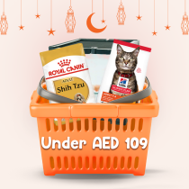 Under Aed 109