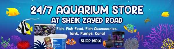 Fish and Aquarium Supplies