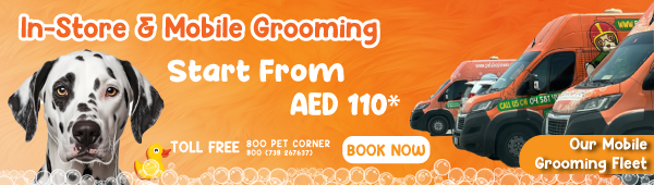 Grooming Starting from Aed 110 Only*