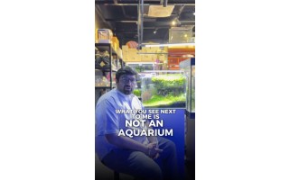 🌊 Back to Our Roots: Why Aquarium Education Matters🐠