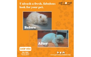 Pet Grooming Over 1,000,000 ( One Million Pet Groomings completed)
