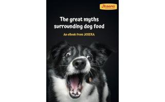 Great Myths Surrounding Dog Food
