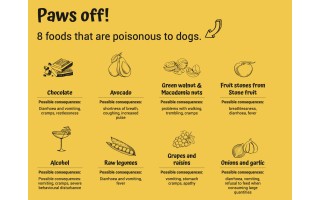 8 poisonous Dog Foods
