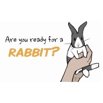 Are you Ready for a Rabbit?