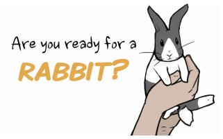 Top 10 Craziest Exotic Pets People Actually Own