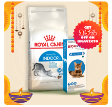Royal Canin Feline Health Nutrition Indoor 4 KG + Bravecto for Cats 2.8 - 6.25 kg Spot-On 0.89ml