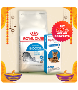 Royal Canin Feline Health Nutrition Indoor 4 KG + Bravecto for Cats 2.8 - 6.25 kg Spot-On 0.89ml