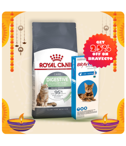 Royal Canin Feline Care Nutrition Digestive Care 2 KG + Bravecto for Cats 2.8 - 6.25 kg Spot-On 0.89ml