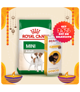 Royal Canine Size Health Nutrition Mini Adult 8 KG + Bravecto for Dogs 2 - 4.5 kg Tablet 112.5mg