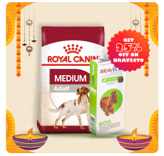 Royal Canine Size Health Nutrition Medium Adult 10 KG + Bravecto for Dogs 10 - 20 kg Tablet 500mg