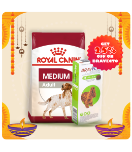 Royal Canine Size Health Nutrition Medium Adult 10 KG + Bravecto for Dogs 10 - 20 kg Tablet 500mg
