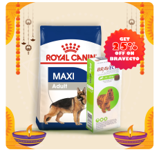 Royal Canine Size Health Nutrition Maxi Adult 15 KG + Bravecto for Dogs 10 - 20 kg Tablet 500mg