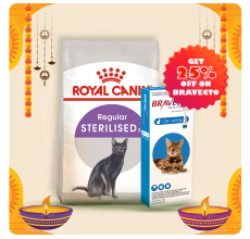 Royal Canin Feline Health Nutrition Sterilised 2 KG + Bravecto for Cats 2.8 - 6.25 kg Spot-On 0.89ml