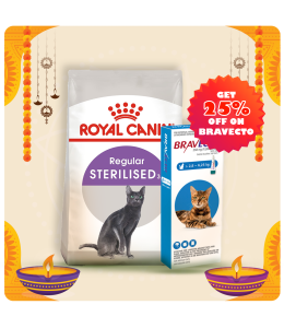Royal Canin Feline Health Nutrition Sterilised 2 KG + Bravecto for Cats 2.8 - 6.25 kg Spot-On 0.89ml