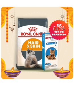 Royal Canin Feline Care Nutrition Hair & Skin 4 KG + Bravecto for Cats 2.8 - 6.25 kg Spot-On 0.89ml