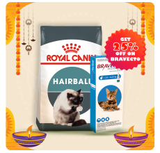 Royal Canin Feline Care Nutrition Hairball Care 4 KG + Bravecto for Cats 2.8 - 6.25 kg Spot-On 0.89ml