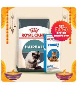 Royal Canin Feline Care Nutrition Hairball Care 4 KG + Bravecto for Cats 2.8 - 6.25 kg Spot-On 0.89ml