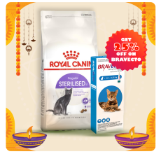 Royal Canin Feline Health Nutrition Sterilised 4 kg + Bravecto for Cats 2.8 - 6.25 kg Spot-On 0.89ml