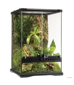 Natural Terrarium Mini Mini/Tall 30 x 30 x 45 cm