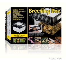 Breeding Box - Small