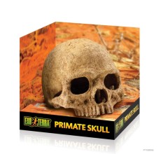 Terrarium Decor - Primate Skull